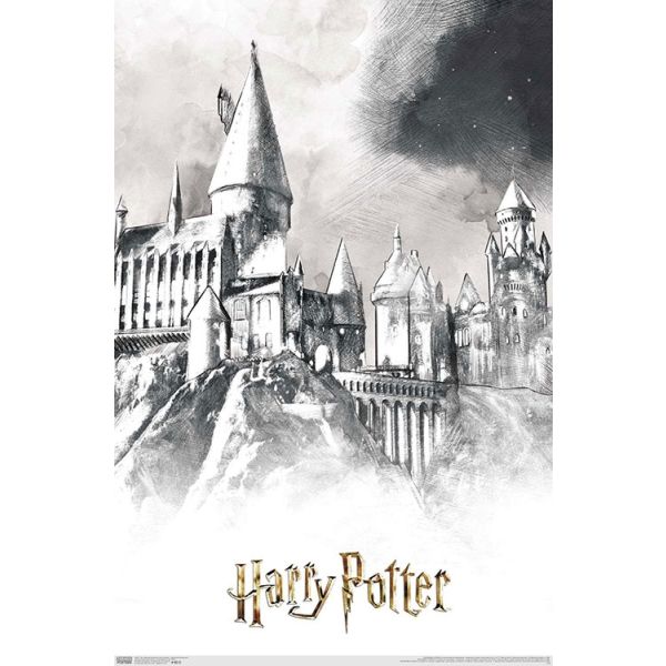 The Wizarding World Harry Potter Illustrated Hogwarts Poster 23" x 34" Brand New